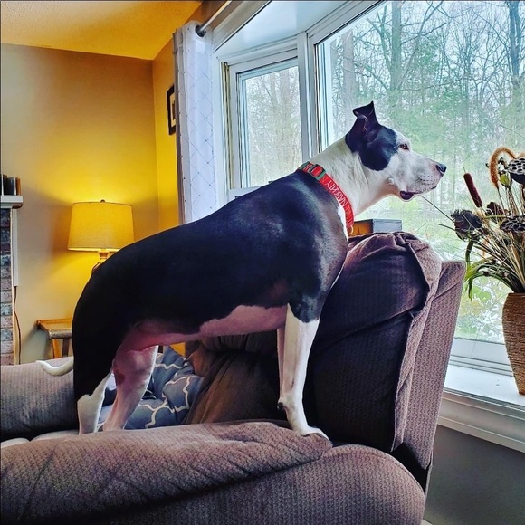 MY FAMILY - Picture 14 of 17